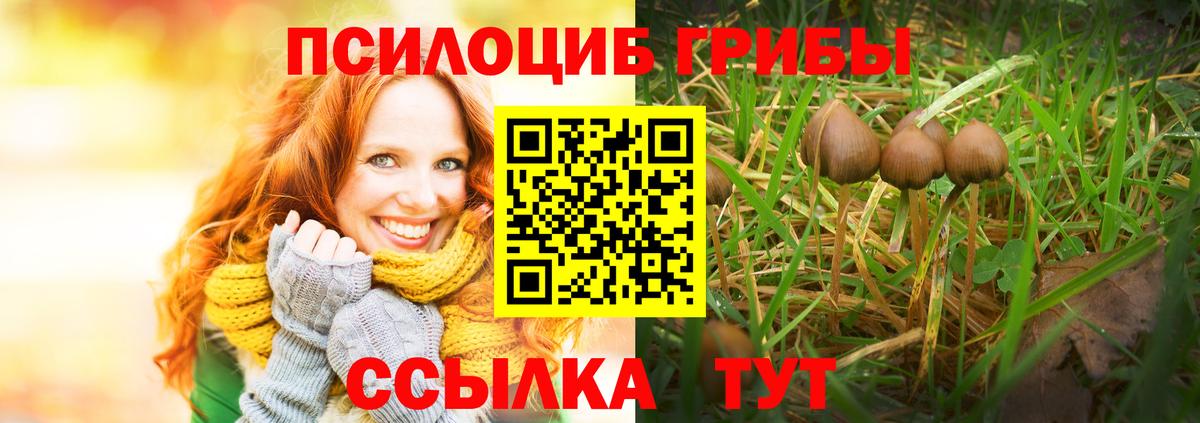 Псилоцибиновые грибы Psilocybe Благодарный