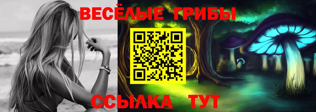 Псилоцибиновые грибы MAGIC MUSHROOMS  Вход с VPN  Благодарный 